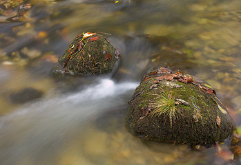 Image showing Rocks in a stream