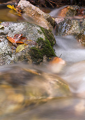 Image showing Rocks in a stream