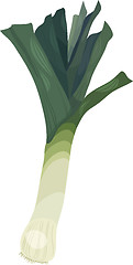 Image showing leek vegetable cartoon illustration