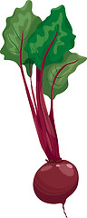 Image showing beet vegetable cartoon illustration