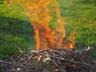 Image showing Burning fire