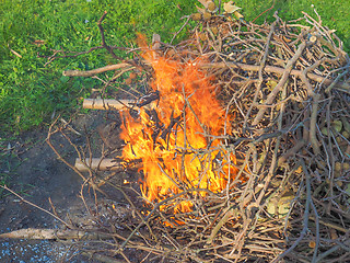 Image showing Burning fire