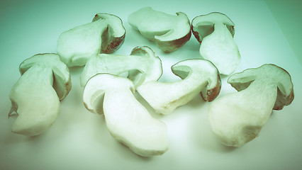 Image showing Retro look Porcini Mushroom