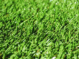 Image showing Artificial grass