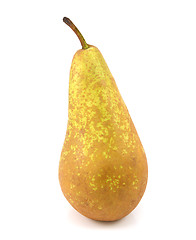 Image showing Green Conference pear standing upright