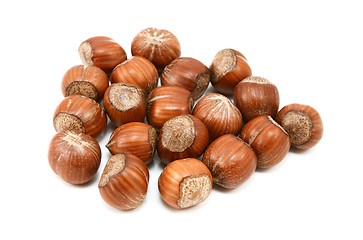 Image showing Hazelnuts in shells