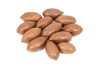 Image showing Pecan nuts in shells