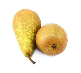 Image showing A pair of Conference pears lying end to end