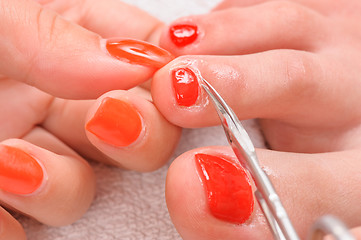 Image showing pedicure process macro closeup