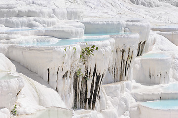 Image showing Travertine pools and terraces in Pamukkale, Turkey