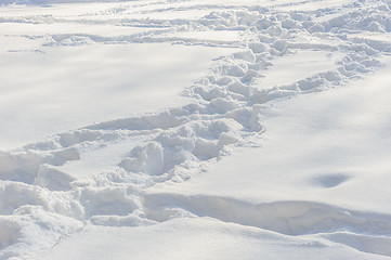 Image showing tracks on the snow