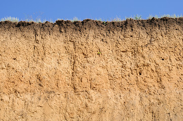 Image showing Layered cut of soil