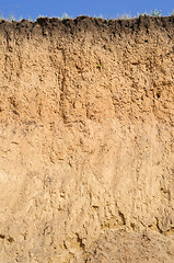 Image showing Layered cut of soil