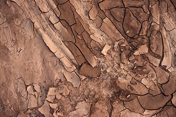 Image showing Dry soil closeup before rain