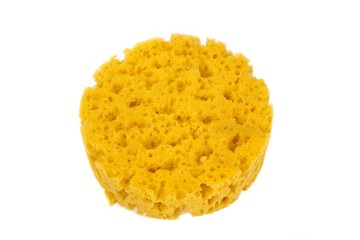 Image showing Synthetic bath sponge