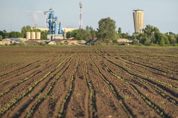 Image showing Cultivated land angle shot