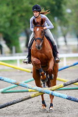 Image showing Horse jumping hurdles