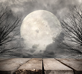 Image showing Forest with full moon