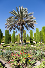 Image showing Italian Garden