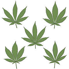 Image showing Set of natural marijuana leaves.