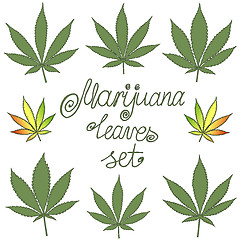 Image showing Set of natural marijuana leaves