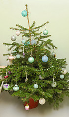 Image showing Small Christmas tree