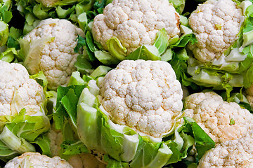 Image showing Raw cauliflowers