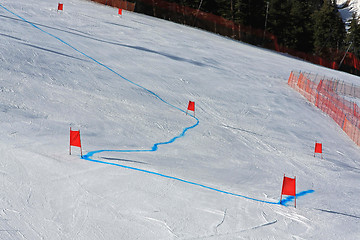 Image showing Giant slalom