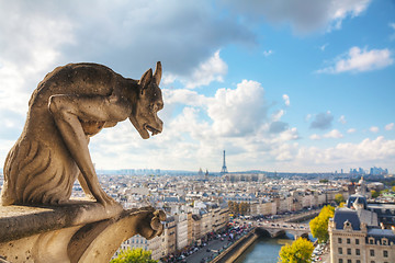 Image showing Paris aerial view with Chimera