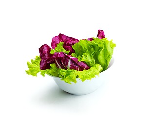 Image showing fresh green salad