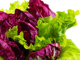 Image showing fresh green salad