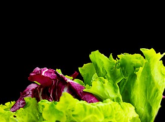 Image showing fresh green salad