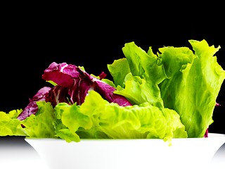Image showing fresh green salad