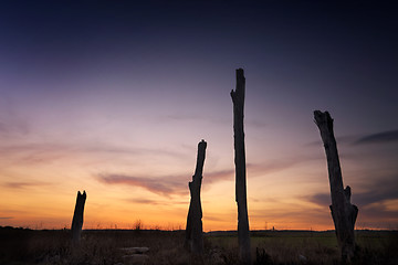 Image showing Sunset rural landscape Penrith NSW Australia