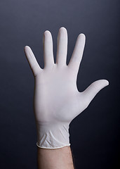 Image showing Male palm in latex glove