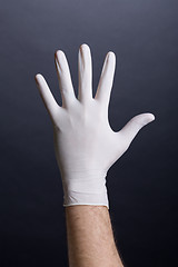 Image showing Male palm in latex glove