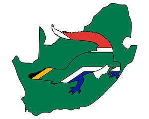 Image showing Crocodile South Africa