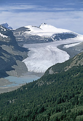 Image showing Glacier in Canada