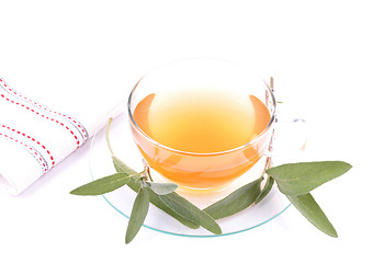 Image showing Sage tea