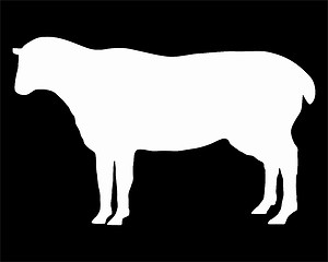 Image showing The white silhouette of a sheep on black