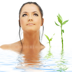 Image showing lovely brunette with bamboo in water