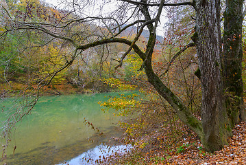 Image showing The river in the mountains