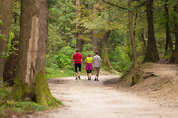 Image showing Family walking in the woods