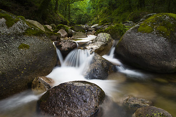 Image showing River 