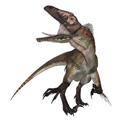 Image showing Dinosaur Utahraptor