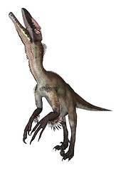 Image showing Dinosaur Utahraptor