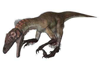 Image showing Dinosaur Utahraptor