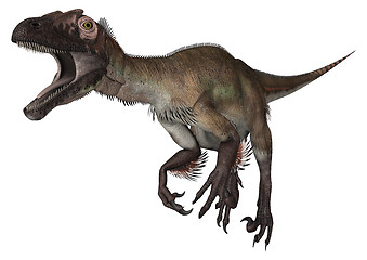 Image showing Dinosaur Utahraptor