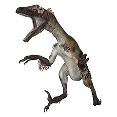 Image showing Dinosaur Utahraptor