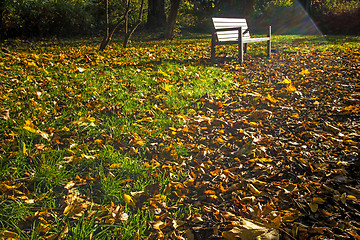 Image showing park bench in autumn